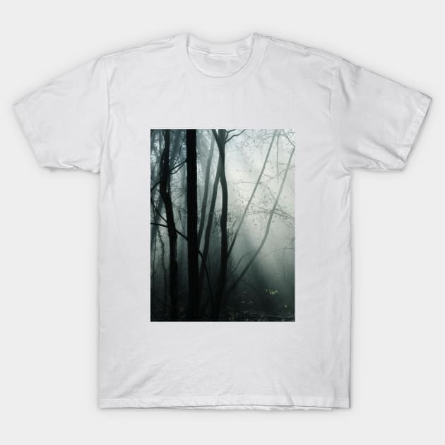 Moody Forest T-Shirt by Hemeria